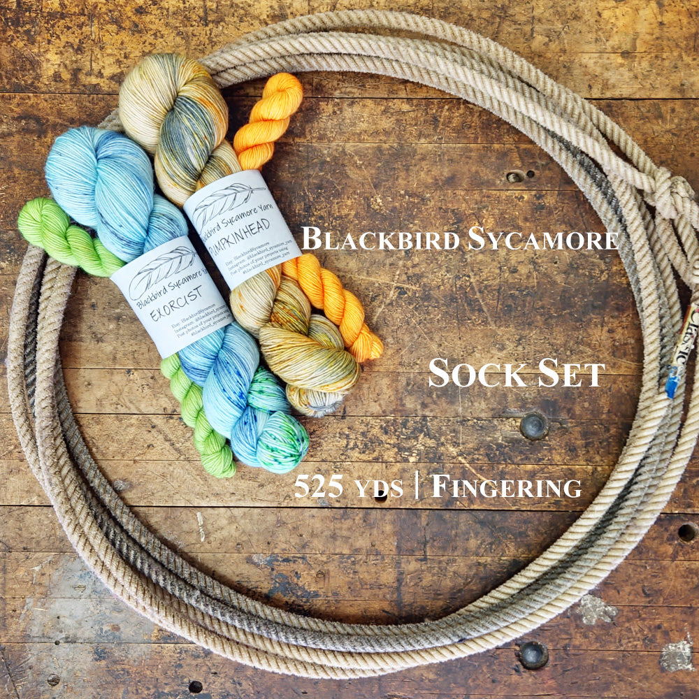Blackbird Sycamore Sock Set