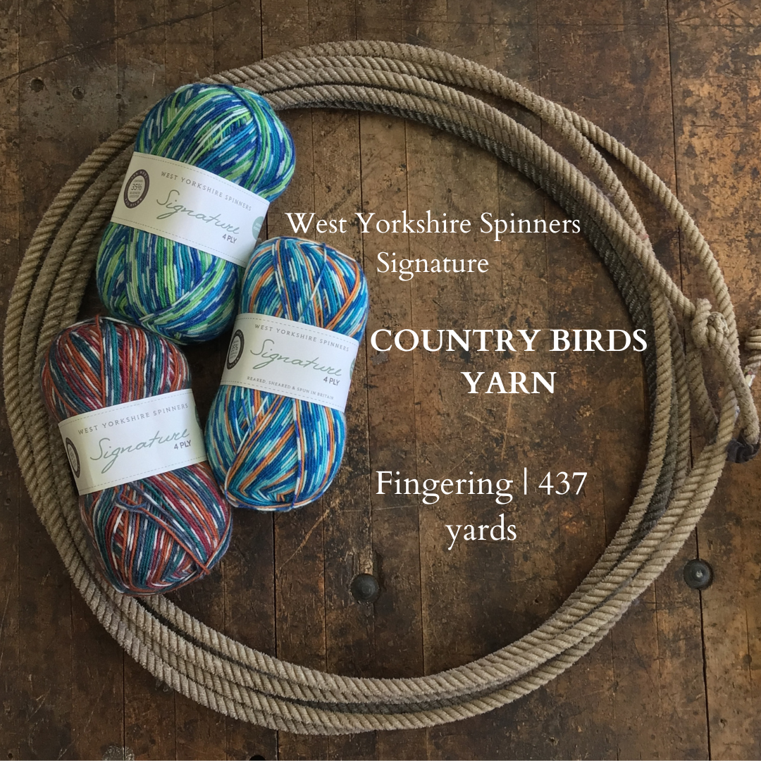 West Yorkshire Spinners Signature 4ply Country Birds Yarn