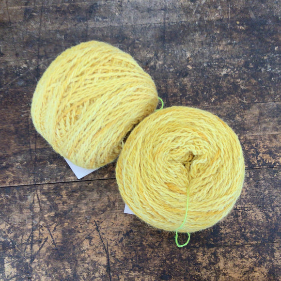 Tronstad Ranch Rambouillet Blend 2 Ply Yarn Worsted Weight Hand Painted