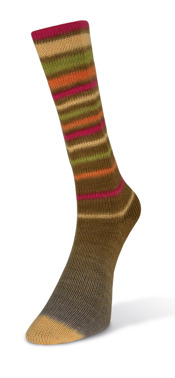 Laines de Nord Inifinity Sock color brown pink green