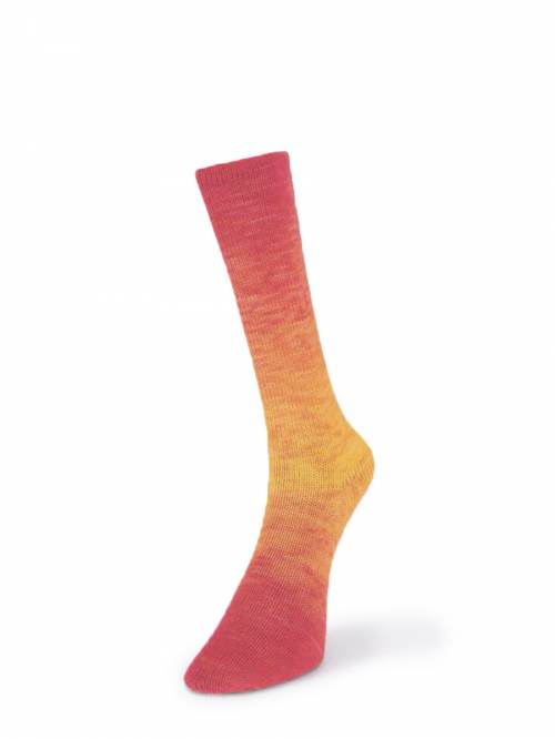 Laines de Nord Watercolor Sock