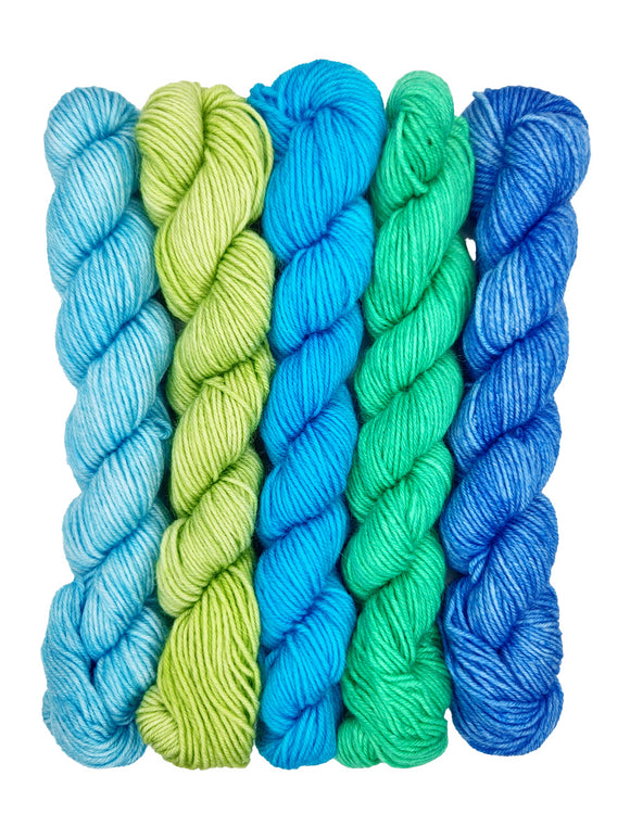 Road Trip Sock Yarn - Plucky Pioneer Mini Skein Sets