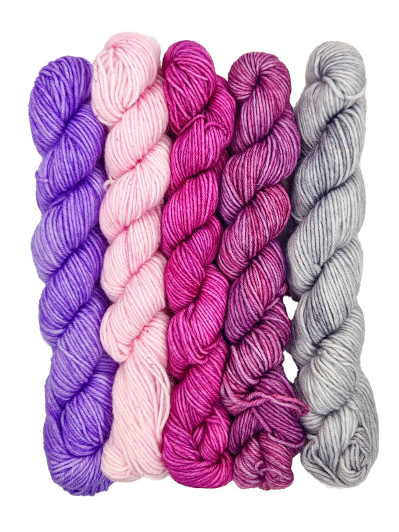 Road Trip Sock Yarn - Plucky Pioneer Mini Skein Sets