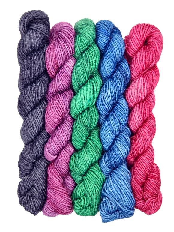 Road Trip Sock Yarn - Plucky Pioneer Mini Skein Sets