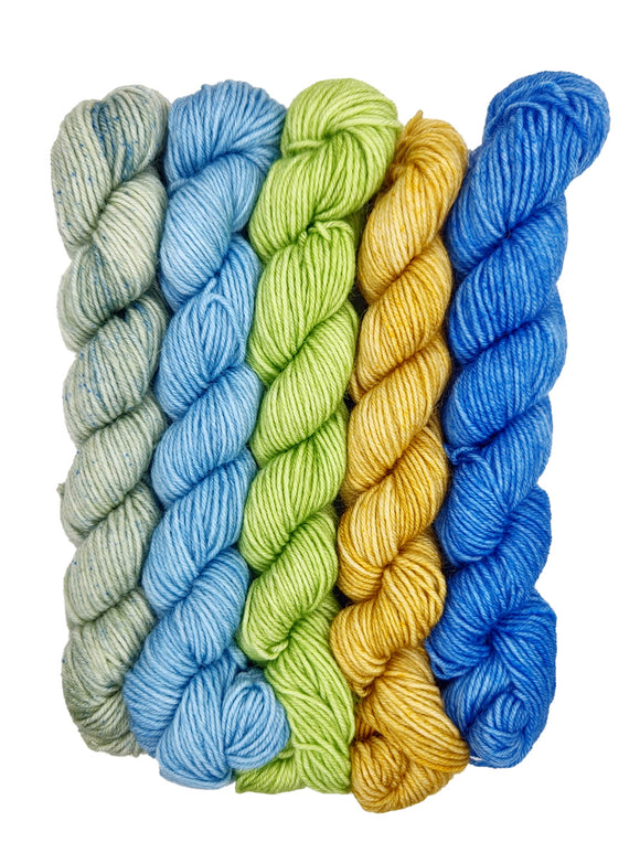Road Trip Sock Yarn - Plucky Pioneer Mini Skein Sets