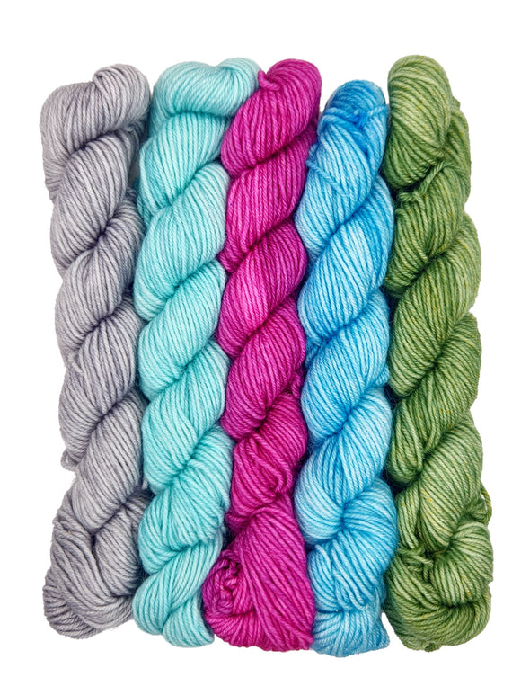 Road Trip Sock Yarn - Plucky Pioneer Mini Skein Sets