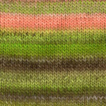 A green and pink swatch of Plymouth Gina Chunky