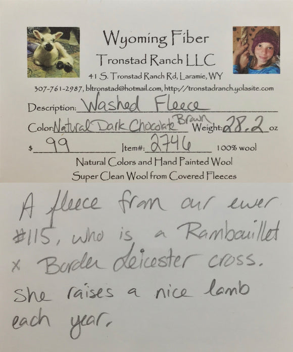 Tronstad Ranch Natural Dark Chocolate Brown Fleece From #115 28.2 Ounces