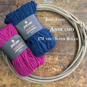 Skeins of Jody Long Andeamo Yarn
