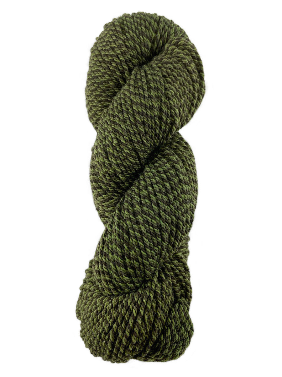 A green marled skein of Mountain Meadow Wool Cora yarn