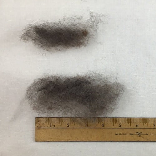 Tronstad Ranch Natural Dark Chocolate Brown Fleece From #115 28.2 Ounces