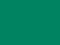 Jacquard Procion MX 2/3 oz-18.71 gram