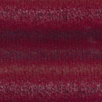 A red mix of Plymouth Encore Colorspun yarn