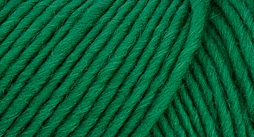 Brown Sheep Co. Lamb's Pride Yarn color Emerald Green