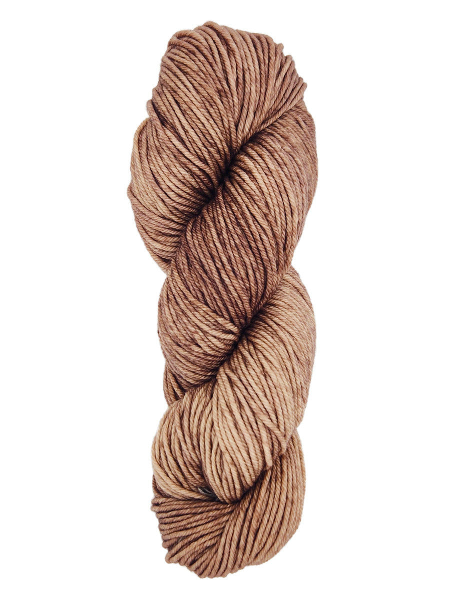 A colorful skein of tan Malabrigo Rios yarn