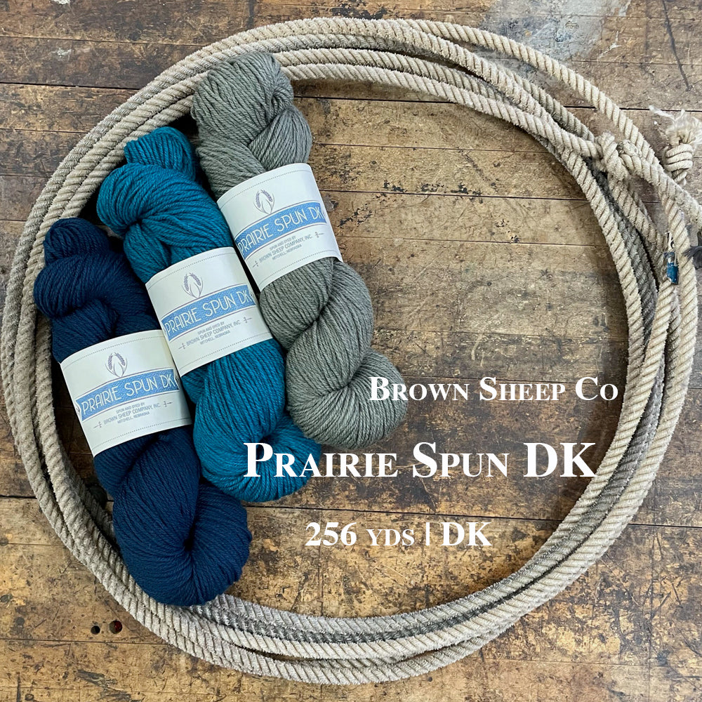 Brown Sheep Prairie Spun DK yarn