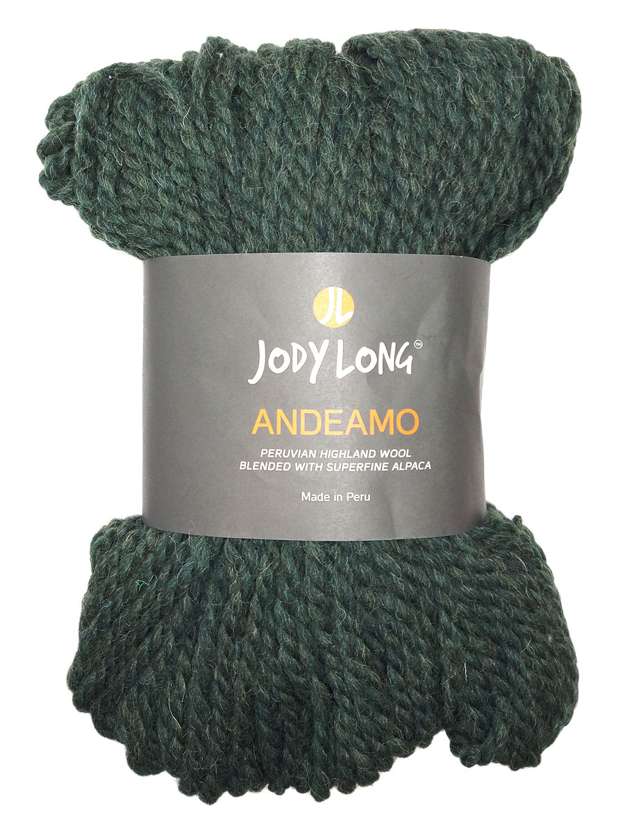  Skein of Jody Long Andeamo Yarn - 021 Forest