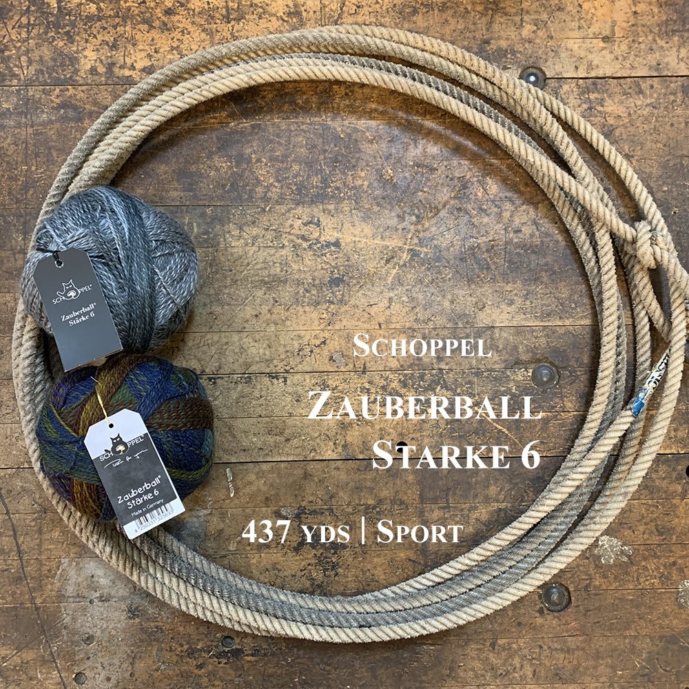 Two colorful balls of Schoppel Zauberball Starke 6 yarn in a lasso on a wooden surface