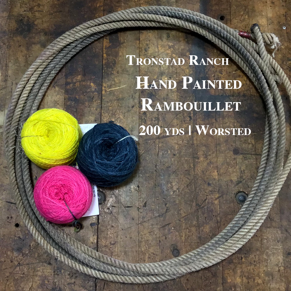 Tronstad Ranch Hand Painted Rambouillet 2 Ply Worsted Weight Yarn
