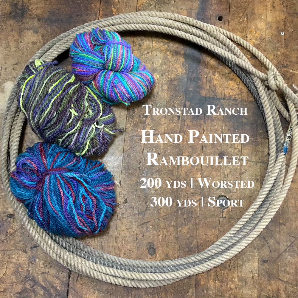 Tronstad Ranch Hand Dyed/Painted Rambouillet 2 Ply Yarn