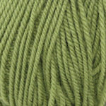 Plymouth Yarn Encore Worsted Yarn