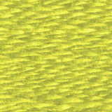 DMC Six Strand Cotton Embroidery Floss 01-199