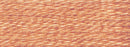 DMC Six Strand Cotton Embroidery Floss 3000-3099-19