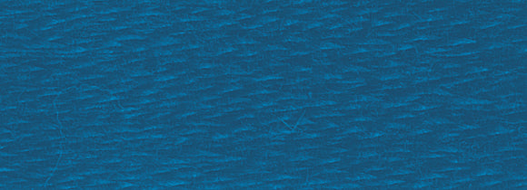 DMC Six Strand Cotton Embroidery Floss 300-399