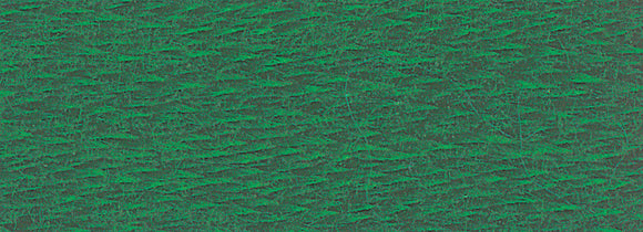 DMC Six Strand Cotton Embroidery Floss 300-399