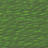 DMC Six Strand Cotton Embroidery Floss 3300-3399