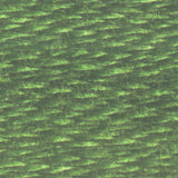 DMC Six Strand Cotton Embroidery Floss 3300-3399