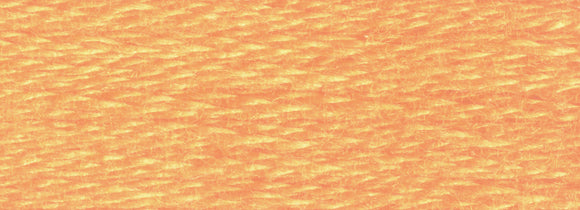 DMC Six Strand Cotton Embroidery Floss 3800-3899