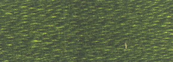 DMC Six Strand Cotton Embroidery Floss 900-999