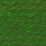 DMC Six Strand Cotton Embroidery Floss 900-999