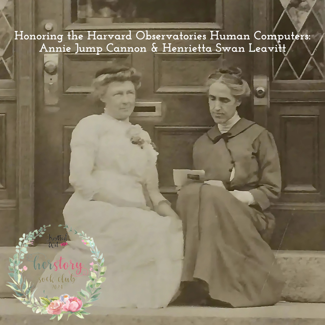 Knitted Wit HerStory December 2024: Annie Jump Cannon and Henrietta Swan Leavitt - Galaxy Flower