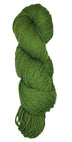 Skein of yarn color Cyprus Green