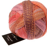 Schoppel Wolle Crazy Zauberball