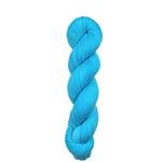 Blackbird Sycamore Fingering Mini Skein Yarn Color blue