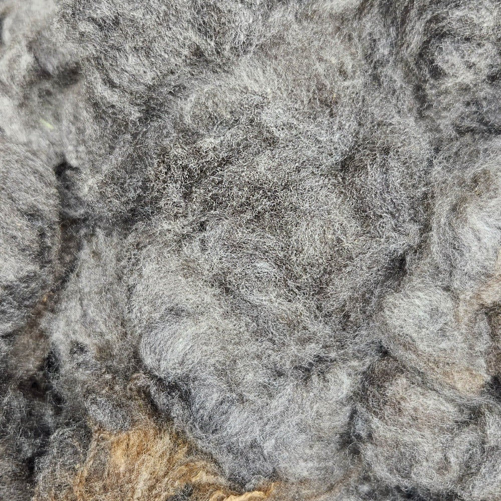 Hamner Ranch Ewe Raw columbia fleece
