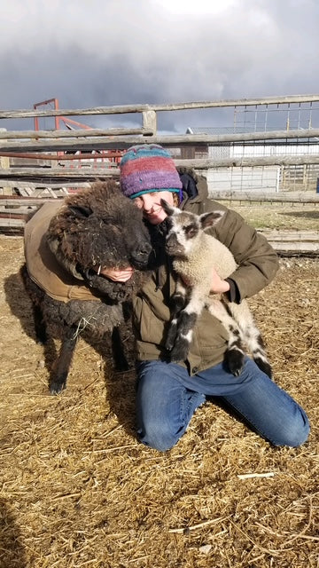 Tronstad Ranch Lamb Tour May 4, 2025