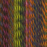 Schoppel-Wolle Edition 3 Yarn