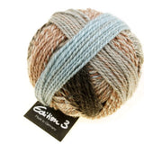 Schoppel-Wolle Edition 3 Yarn