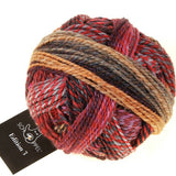 Schoppel-Wolle Edition 3 Yarn