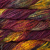 Malabrigo Caracol Yarn