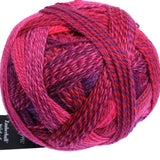 Schoppel Zauberball Starke 6 Yarn