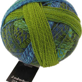 Schoppel Zauberball Starke 6 Yarn