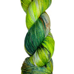 multi-colored skein of yarn 