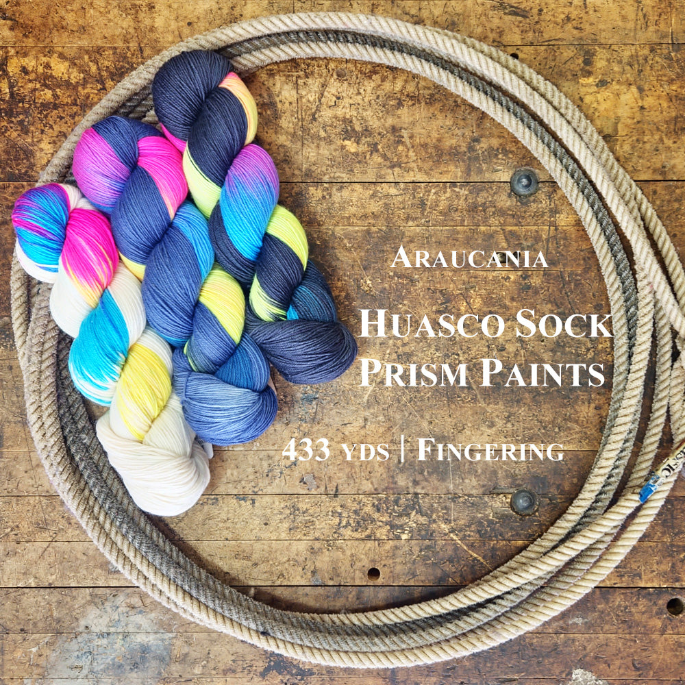 Araucania Huasco Sock Prism Paints yarn