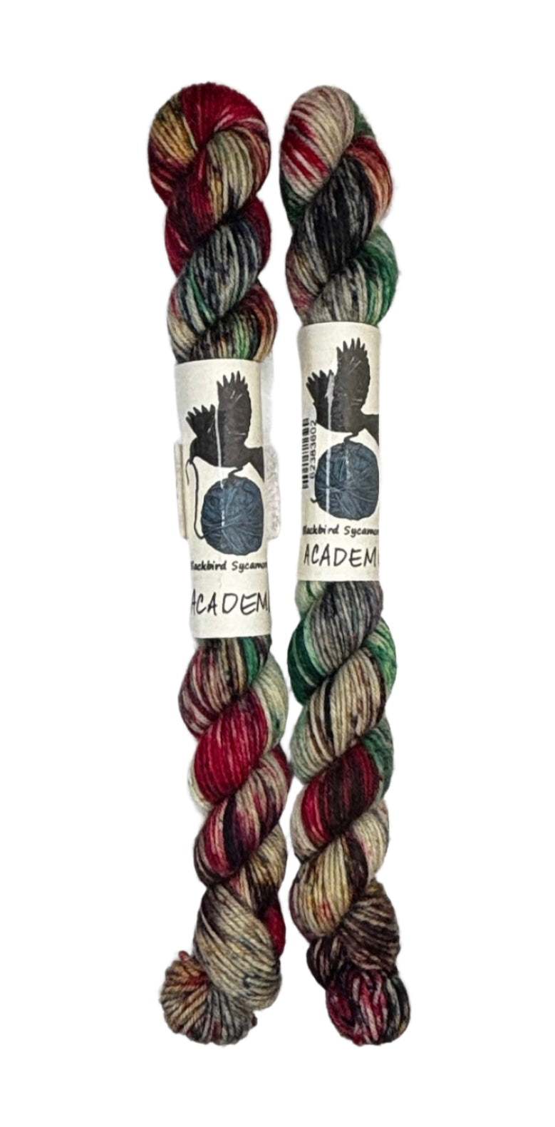 Two mini skeins of wool yarn hand dyed in Wyoming in the color brown red green black