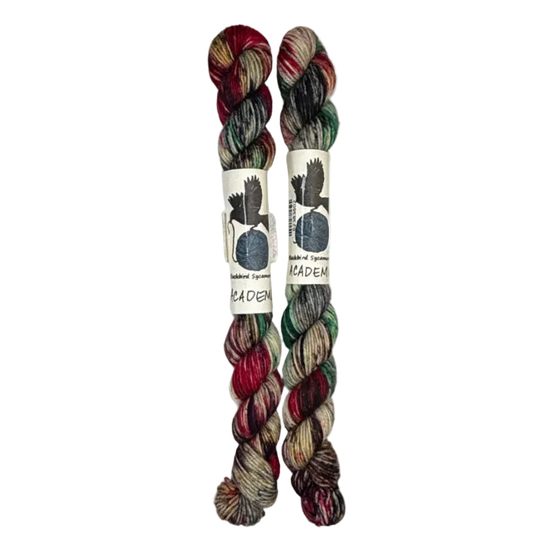 Two mini skeins of wool yarn hand dyed in Wyoming in the color brown red green black